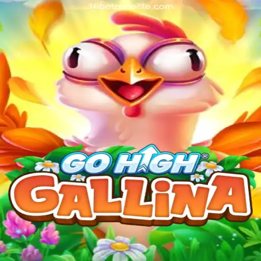 Exploring GoHighGallina: A Premier Gaming Experience with 16bet Slots PG 777